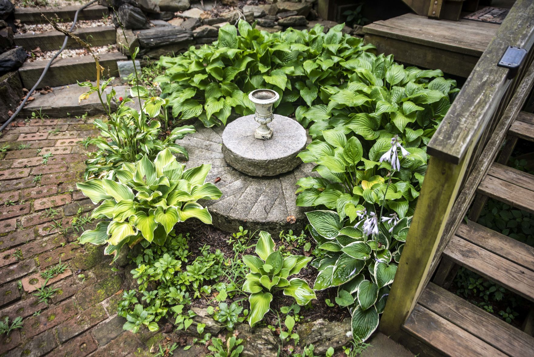 Welcome Home, Stonewall Mill